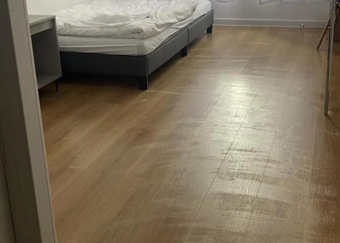 Friedrich August Iii بيت ضيافة *