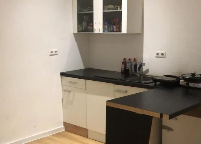 بيت ضيافة Friedrich August Iii تسيتاو